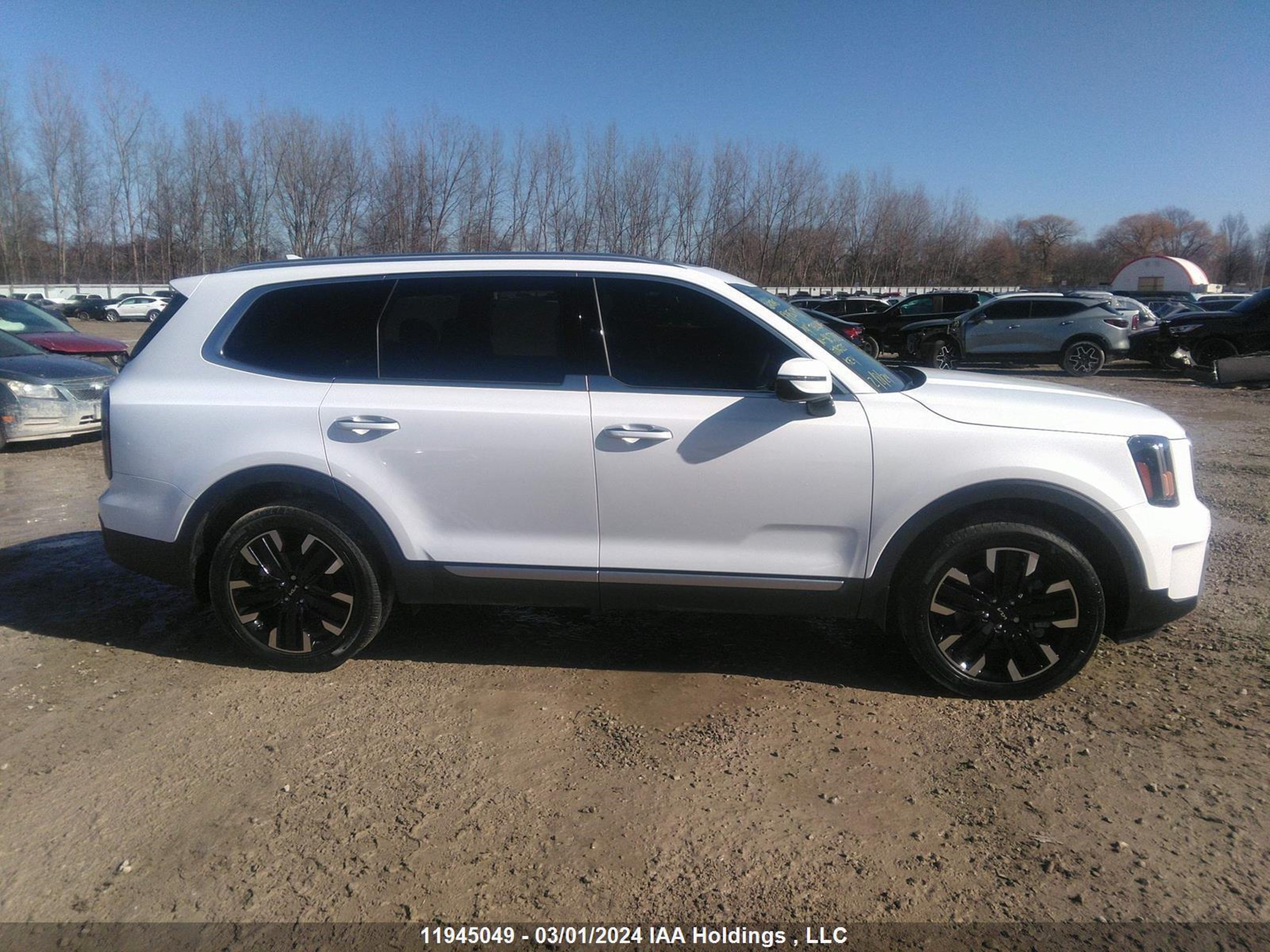 Photo 12 VIN: 5XYP5DGC4RG465783 - KIA TELLURIDE 