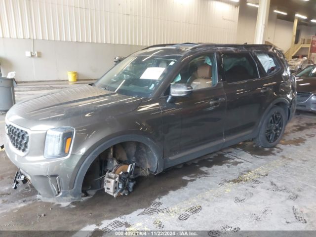 Photo 1 VIN: 5XYP5DGC5PG330177 - KIA TELLURIDE 