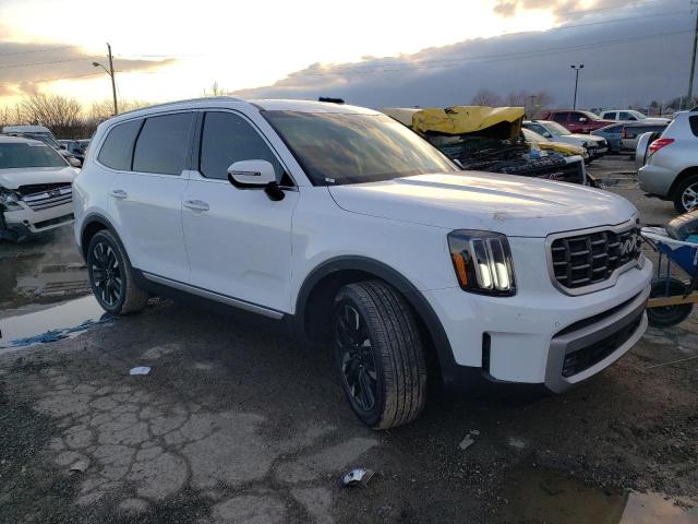 Photo 3 VIN: 5XYP5DGC6PG366959 - KIA TELLURIDE 