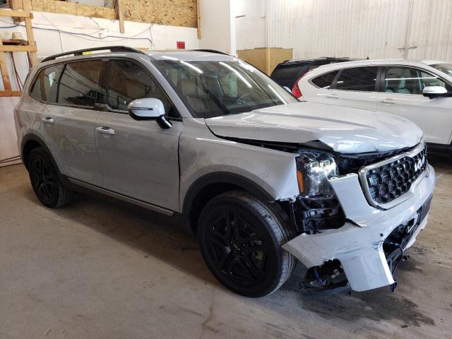 Photo 3 VIN: 5XYP5DGC6PG391456 - KIA TELLURIDE 