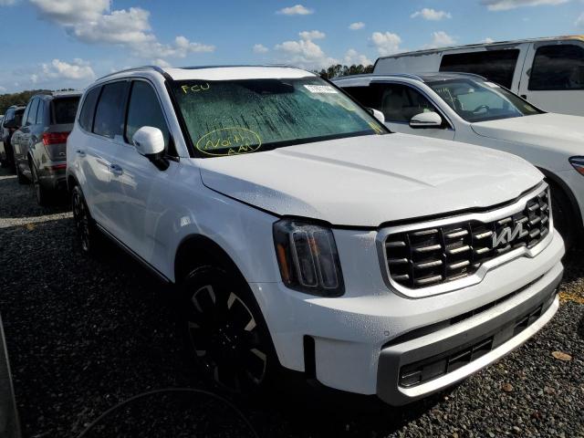 Photo 3 VIN: 5XYP5DGC7PG347983 - KIA TELLURIDE 