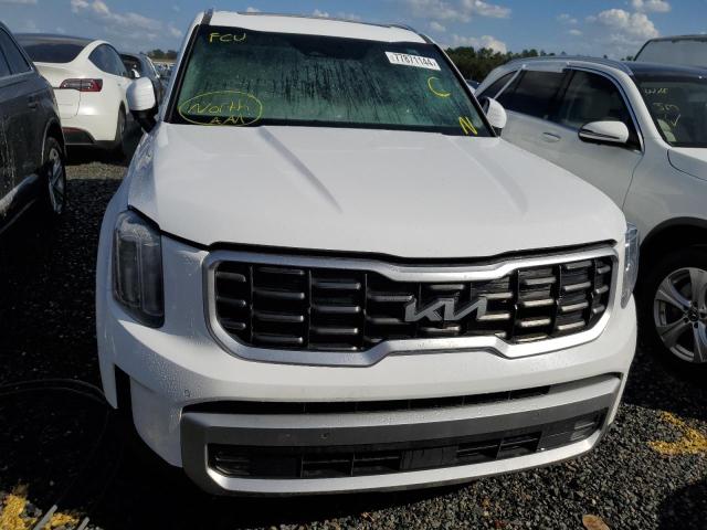 Photo 4 VIN: 5XYP5DGC7PG347983 - KIA TELLURIDE 