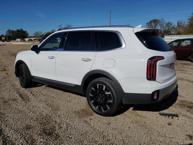 Photo 1 VIN: 5XYP5DGC7PG361902 - KIA TELLURIDE 