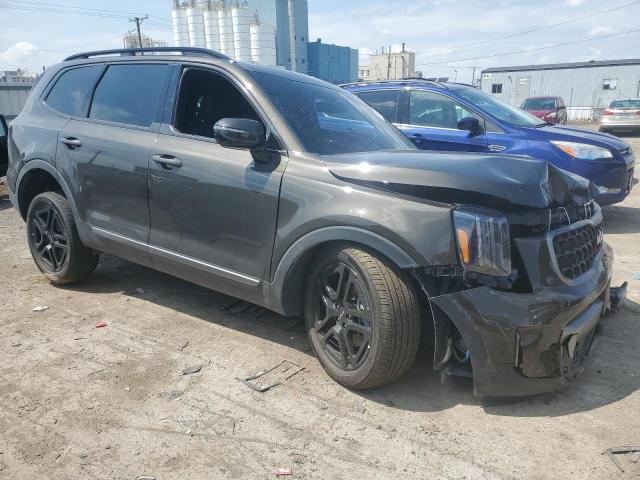 Photo 3 VIN: 5XYP5DGC8PG329203 - KIA TELLURIDE 