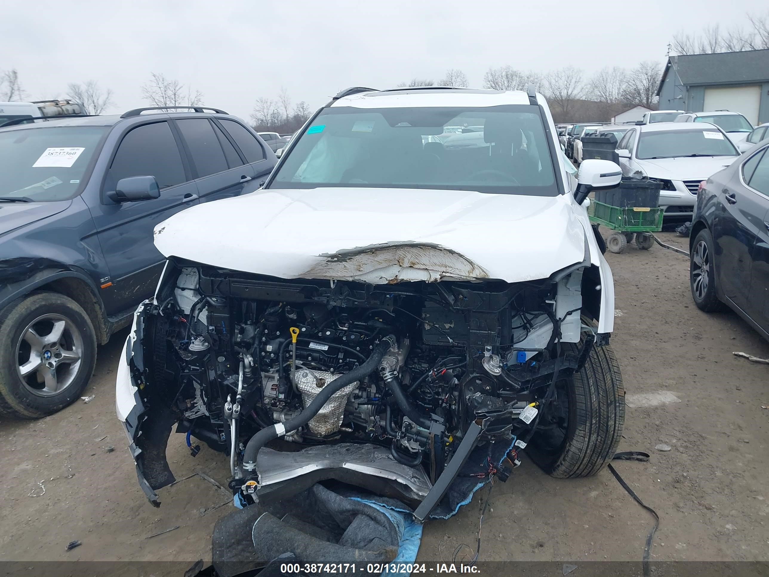 Photo 11 VIN: 5XYP5DGC8RG435315 - KIA TELLURIDE 