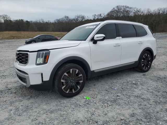 Photo 0 VIN: 5XYP5DGC9PG402191 - KIA TELLURIDE 