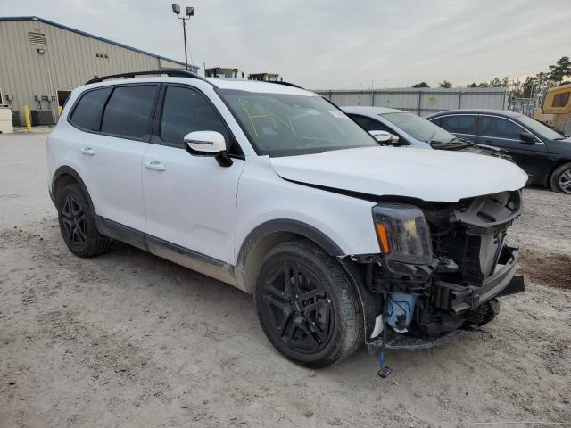 Photo 3 VIN: 5XYP5DGC9RG445979 - KIA TELLURIDE 