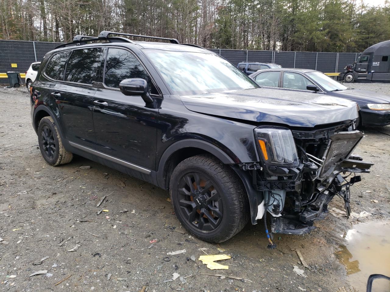 Photo 3 VIN: 5XYP5DGCXPG358279 - KIA TELLURIDE 