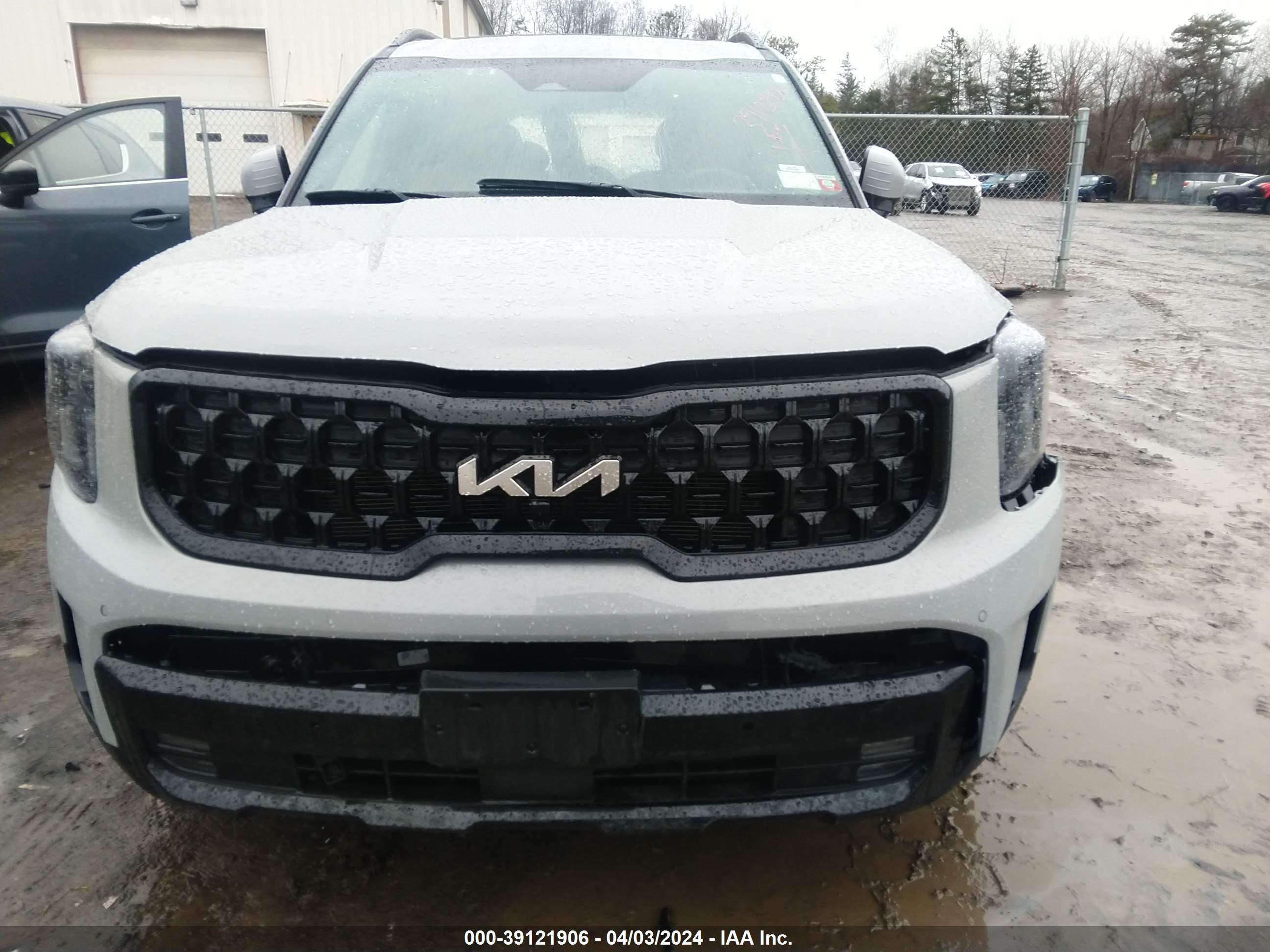 Photo 10 VIN: 5XYP5DGCXRG417592 - KIA TELLURIDE 