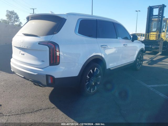 Photo 3 VIN: 5XYP5DGCXRG428141 - KIA TELLURIDE 