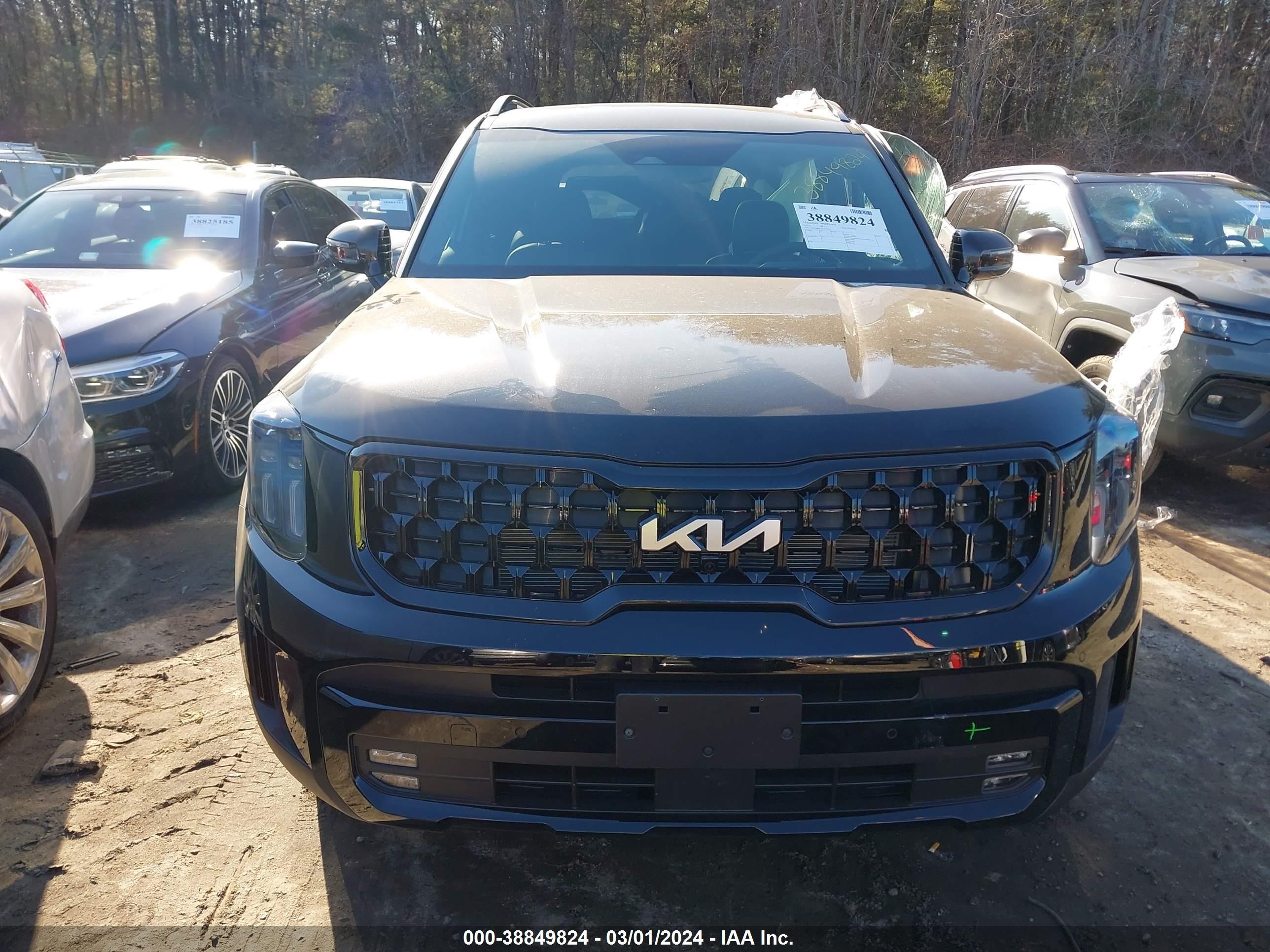 Photo 11 VIN: 5XYP5DGCXRG472205 - KIA TELLURIDE 