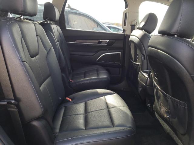 Photo 10 VIN: 5XYP5DHC0LG065838 - KIA TELLURIDE 