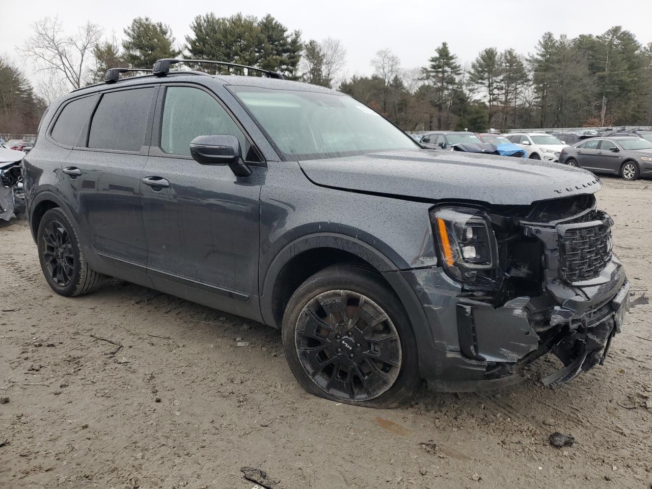 Photo 3 VIN: 5XYP5DHC0NG226384 - KIA TELLURIDE 