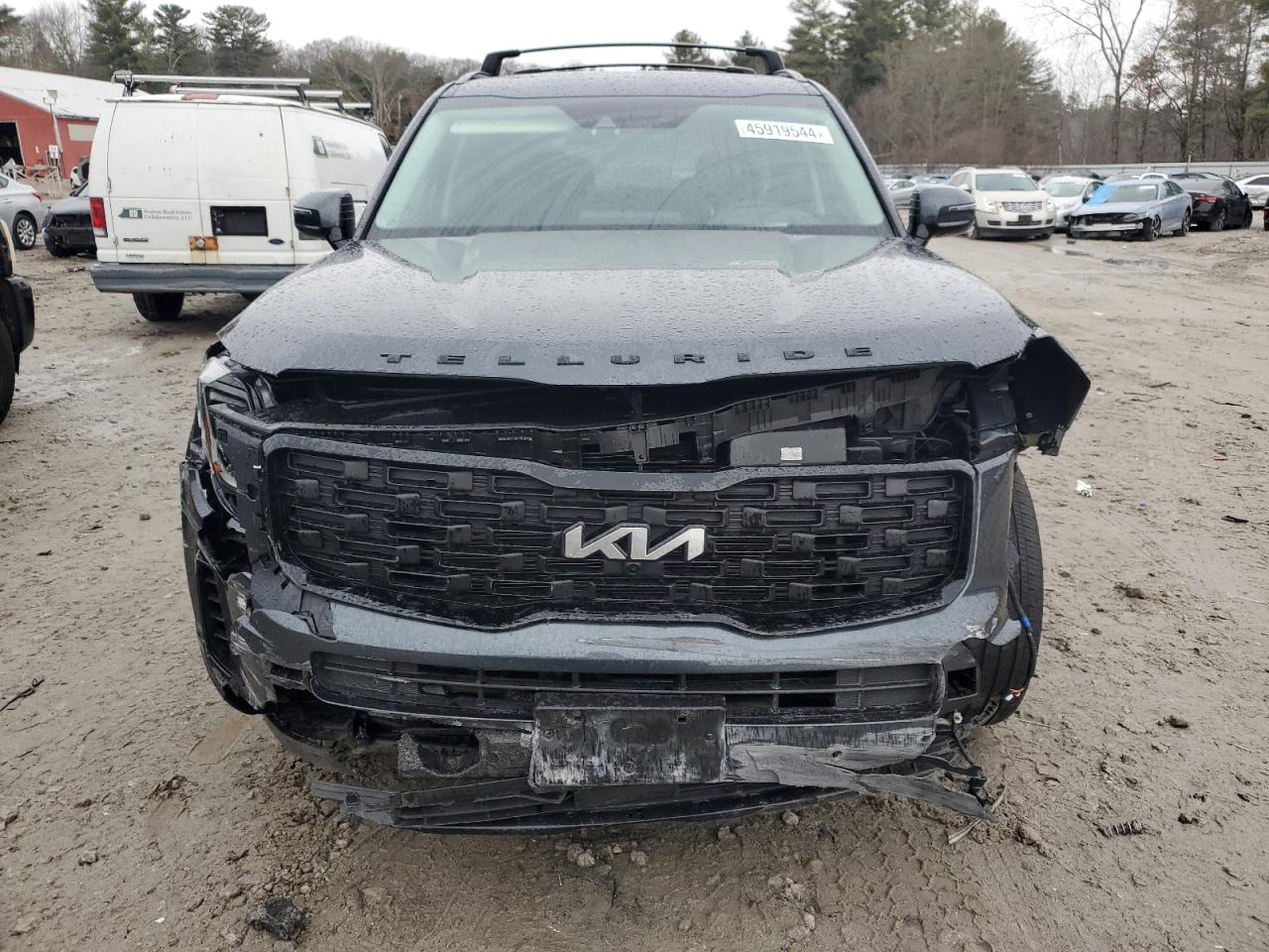 Photo 4 VIN: 5XYP5DHC0NG226384 - KIA TELLURIDE 