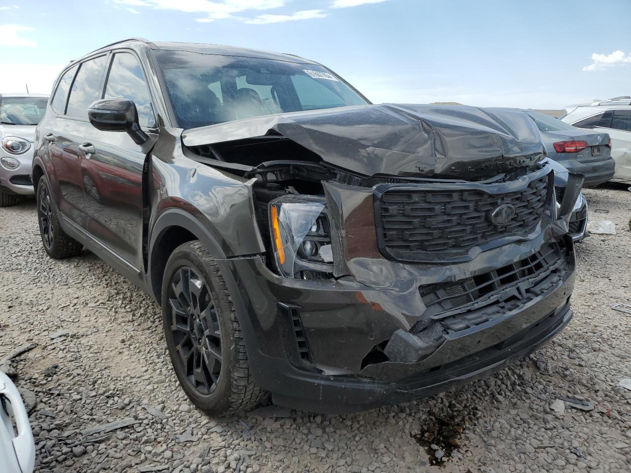 Photo 3 VIN: 5XYP5DHC1MG166596 - KIA TELLURIDE 