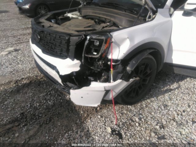 Photo 5 VIN: 5XYP5DHC3MG167653 - KIA TELLURIDE 