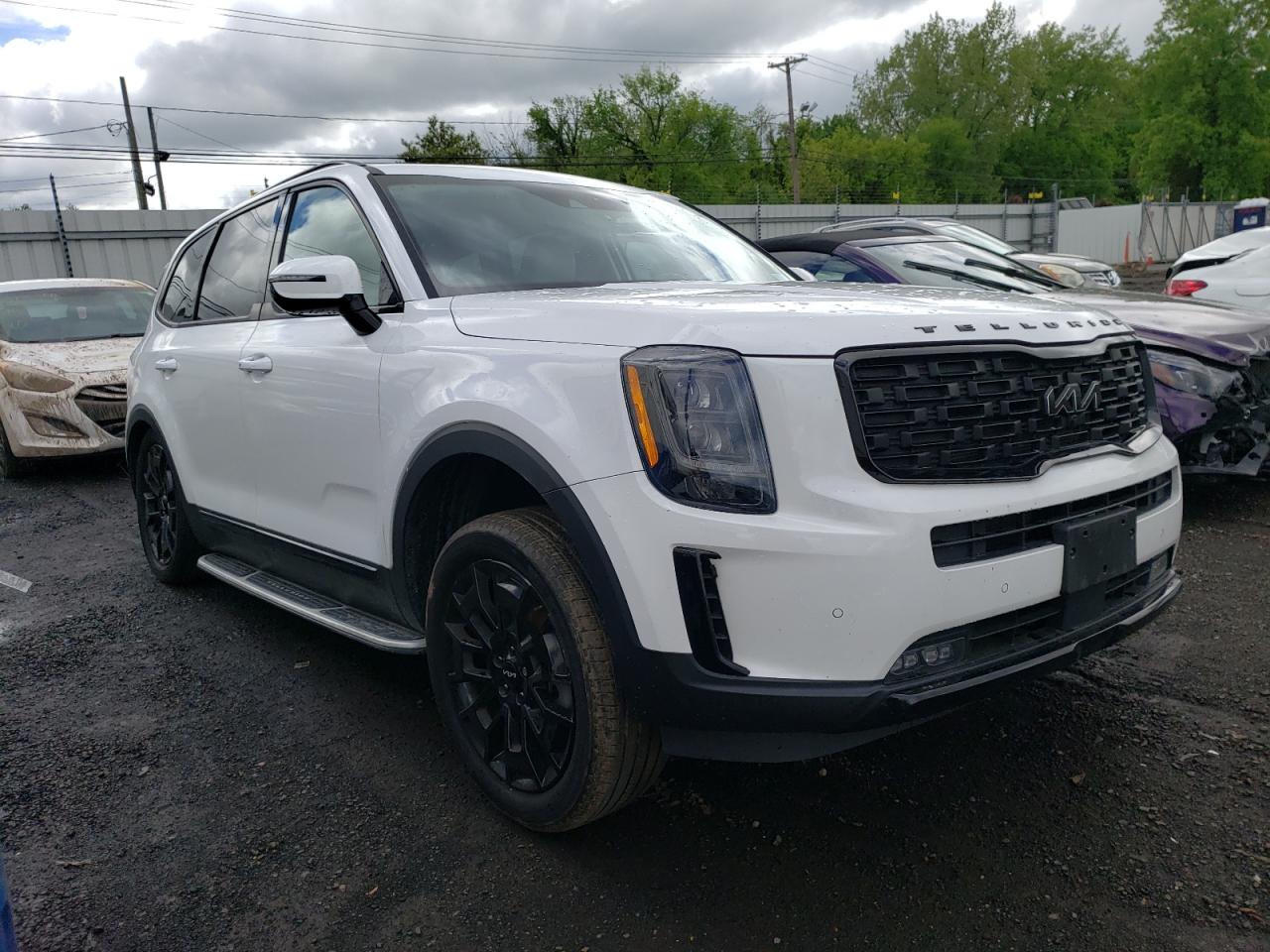 Photo 3 VIN: 5XYP5DHC3NG258956 - KIA TELLURIDE 