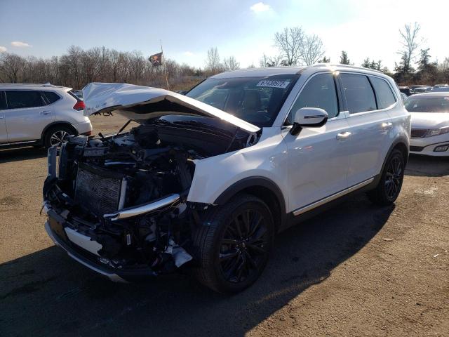 Photo 0 VIN: 5XYP5DHC4LG066121 - KIA TELLURIDE 