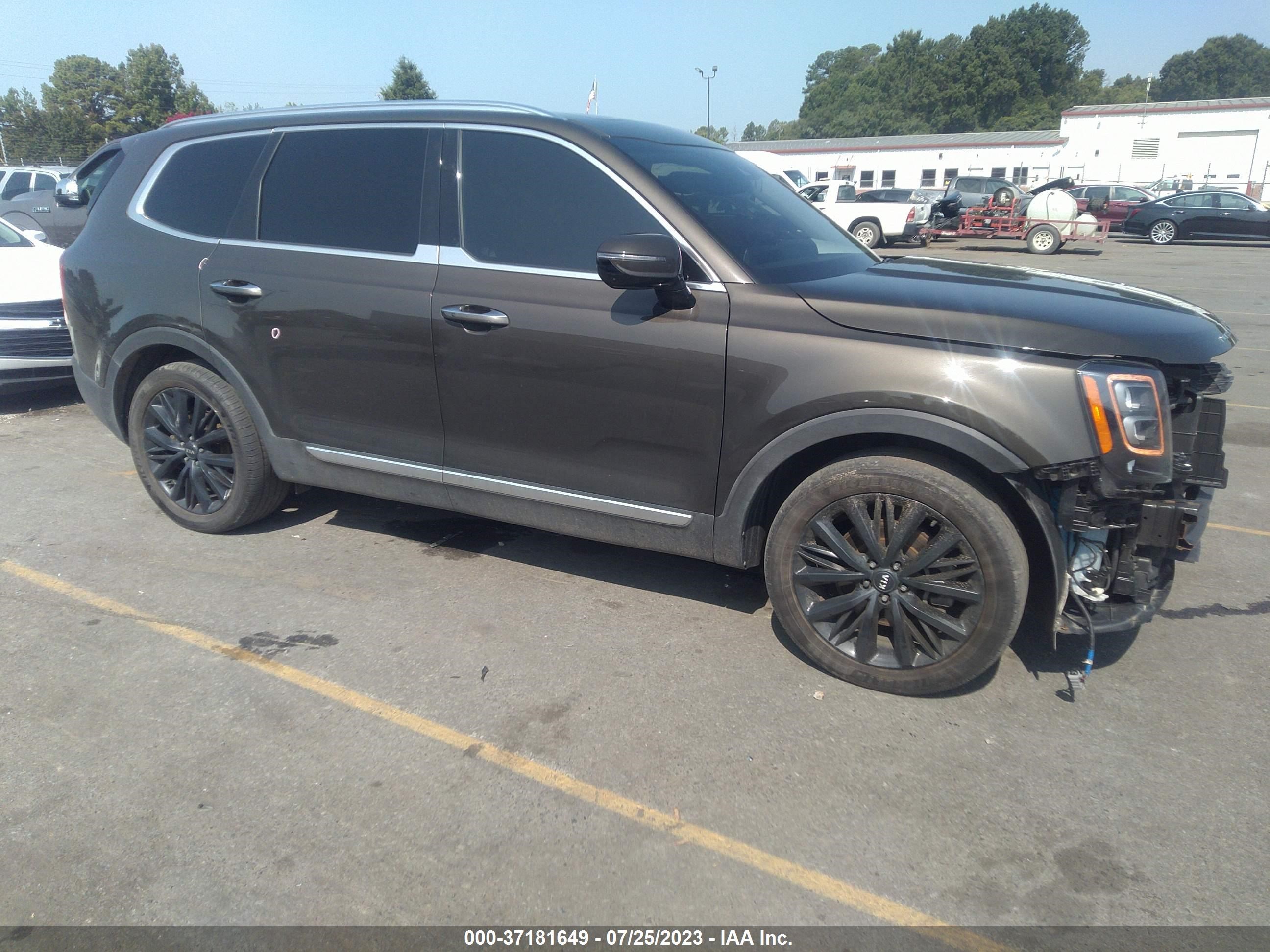 Photo 13 VIN: 5XYP5DHC9LG033678 - KIA TELLURIDE 