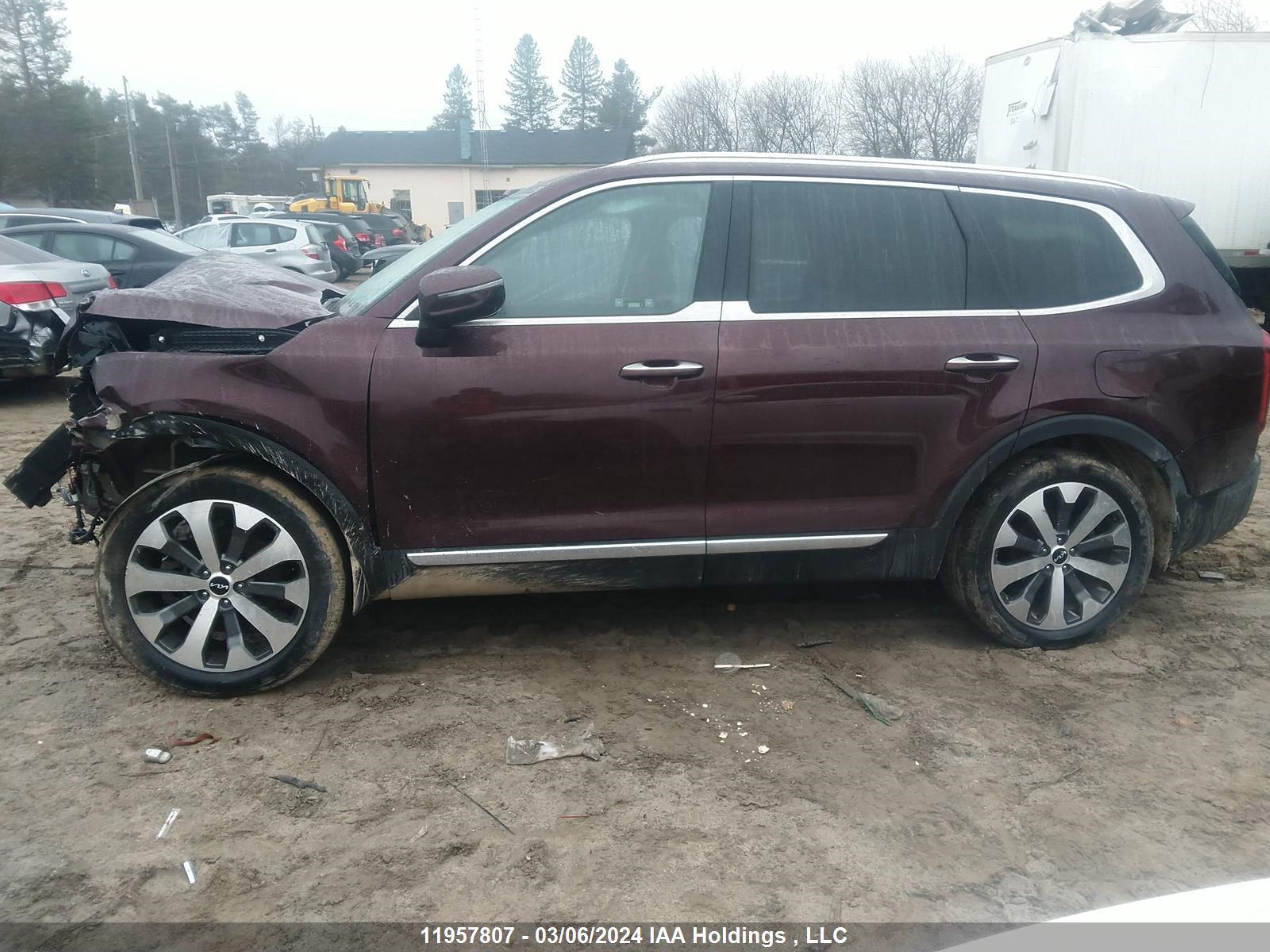 Photo 13 VIN: 5XYP5DHCXNG313225 - KIA TELLURIDE 