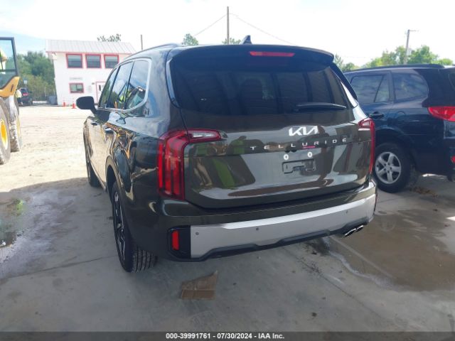 Photo 2 VIN: 5XYP64GC0RG493707 - KIA TELLURIDE 