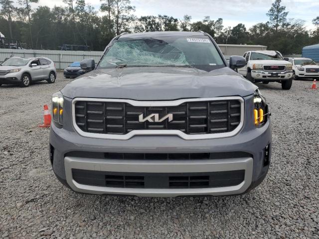 Photo 4 VIN: 5XYP64GC1RG459923 - KIA TELLURIDE 