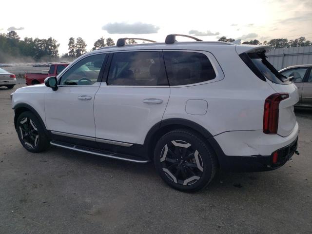 Photo 1 VIN: 5XYP64GC1RG479668 - KIA TELLURIDE 