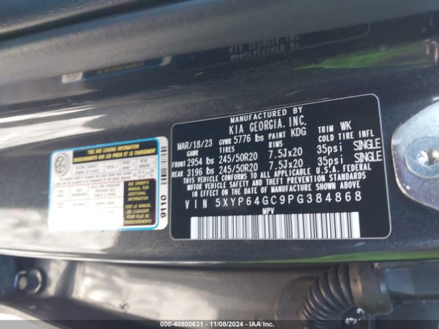 Photo 8 VIN: 5XYP64GC9PG384868 - KIA TELLURIDE 