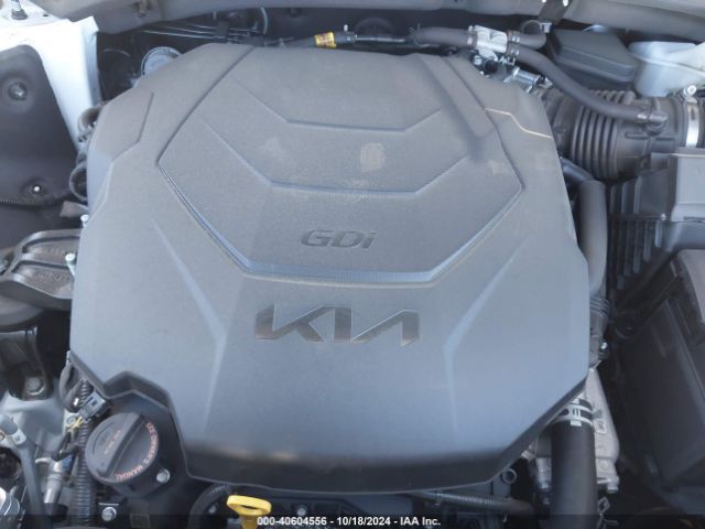 Photo 9 VIN: 5XYP64GCXRG421784 - KIA TELLURIDE 