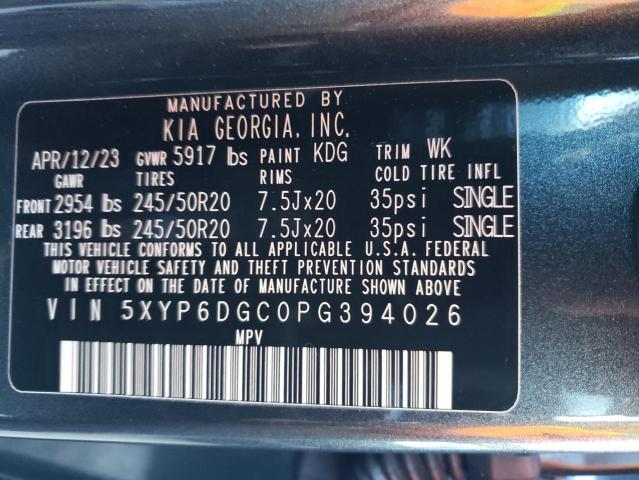 Photo 12 VIN: 5XYP6DGC0PG394026 - KIA TELLURIDE 