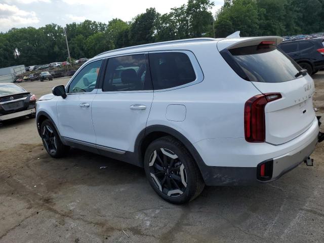 Photo 1 VIN: 5XYP6DGC0RG489608 - KIA TELLURIDE 