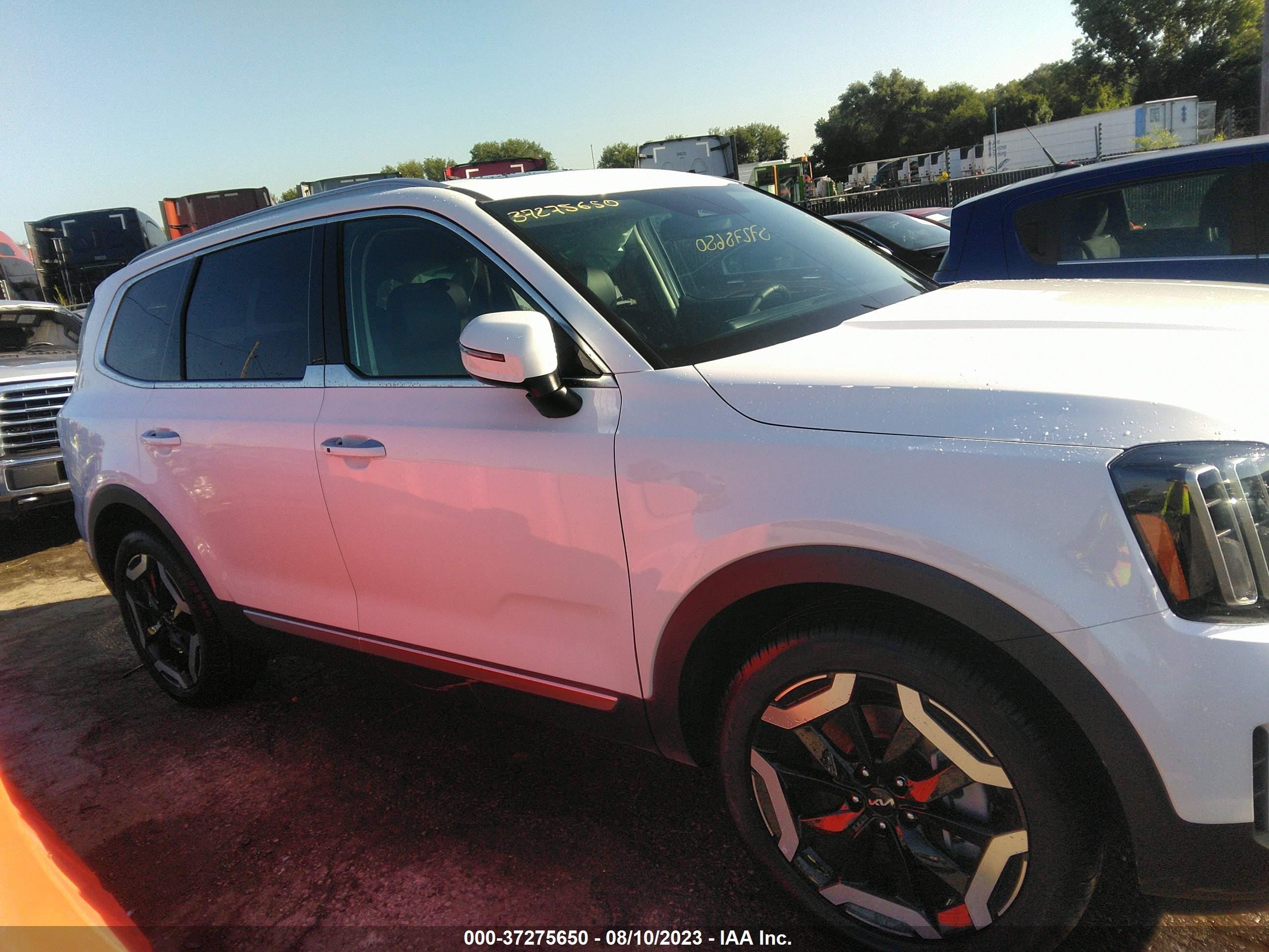 Photo 12 VIN: 5XYP6DGC1PG410217 - KIA TELLURIDE 