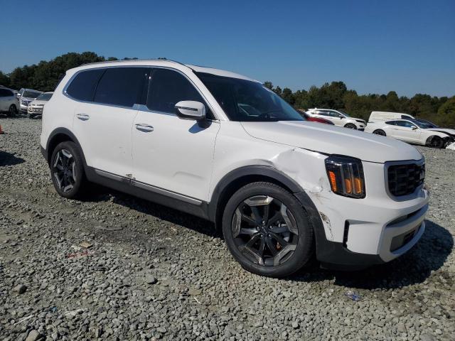 Photo 3 VIN: 5XYP6DGC1RG530036 - KIA TELLURIDE 