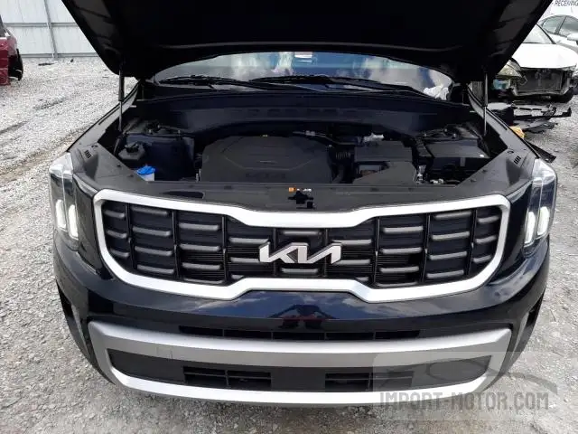 Photo 11 VIN: 5XYP6DGC5PG339202 - KIA TELLURIDE 