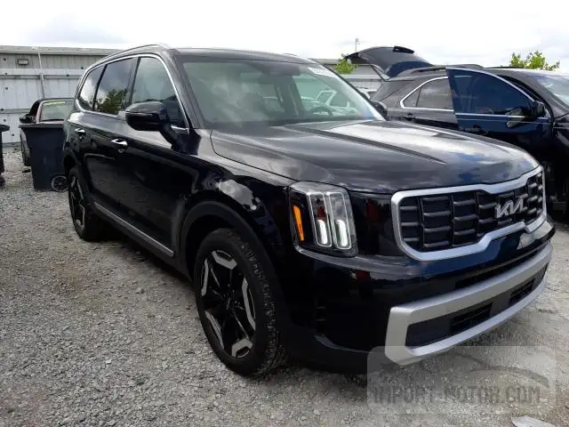 Photo 3 VIN: 5XYP6DGC5PG339202 - KIA TELLURIDE 