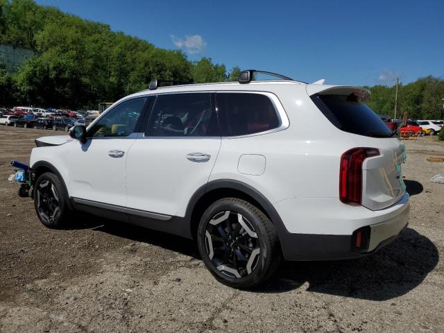 Photo 1 VIN: 5XYP6DGC5RG510503 - KIA TELLURIDE 