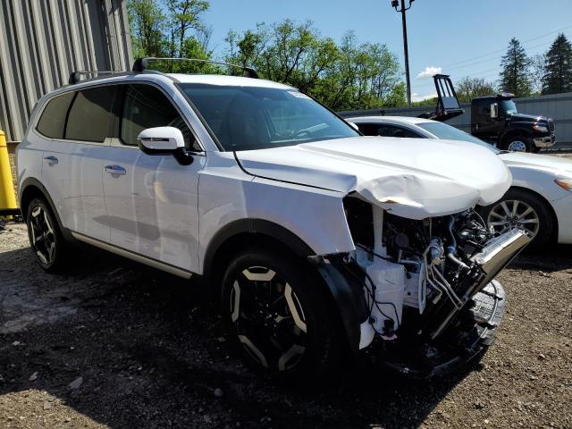 Photo 3 VIN: 5XYP6DGC5RG510503 - KIA TELLURIDE 