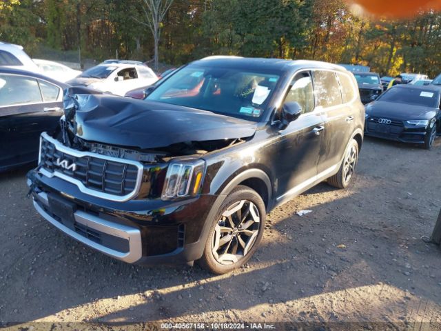 Photo 1 VIN: 5XYP6DGC7PG343901 - KIA TELLURIDE 