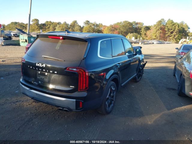 Photo 3 VIN: 5XYP6DGC7PG343901 - KIA TELLURIDE 