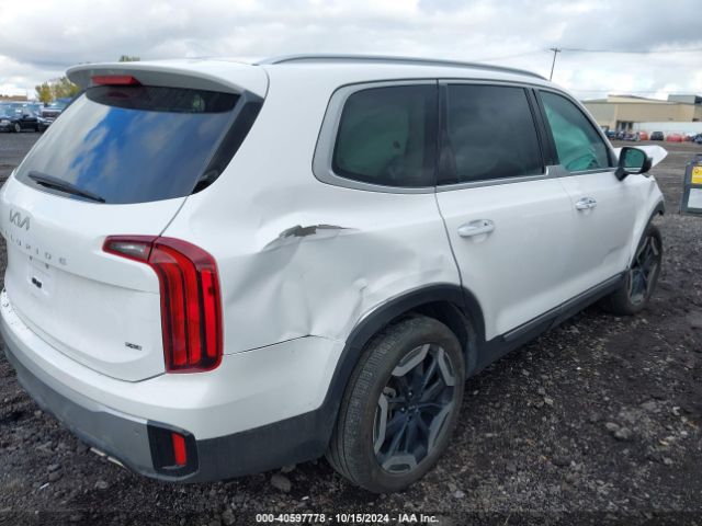 Photo 3 VIN: 5XYP6DGC9PG365897 - KIA TELLURIDE 