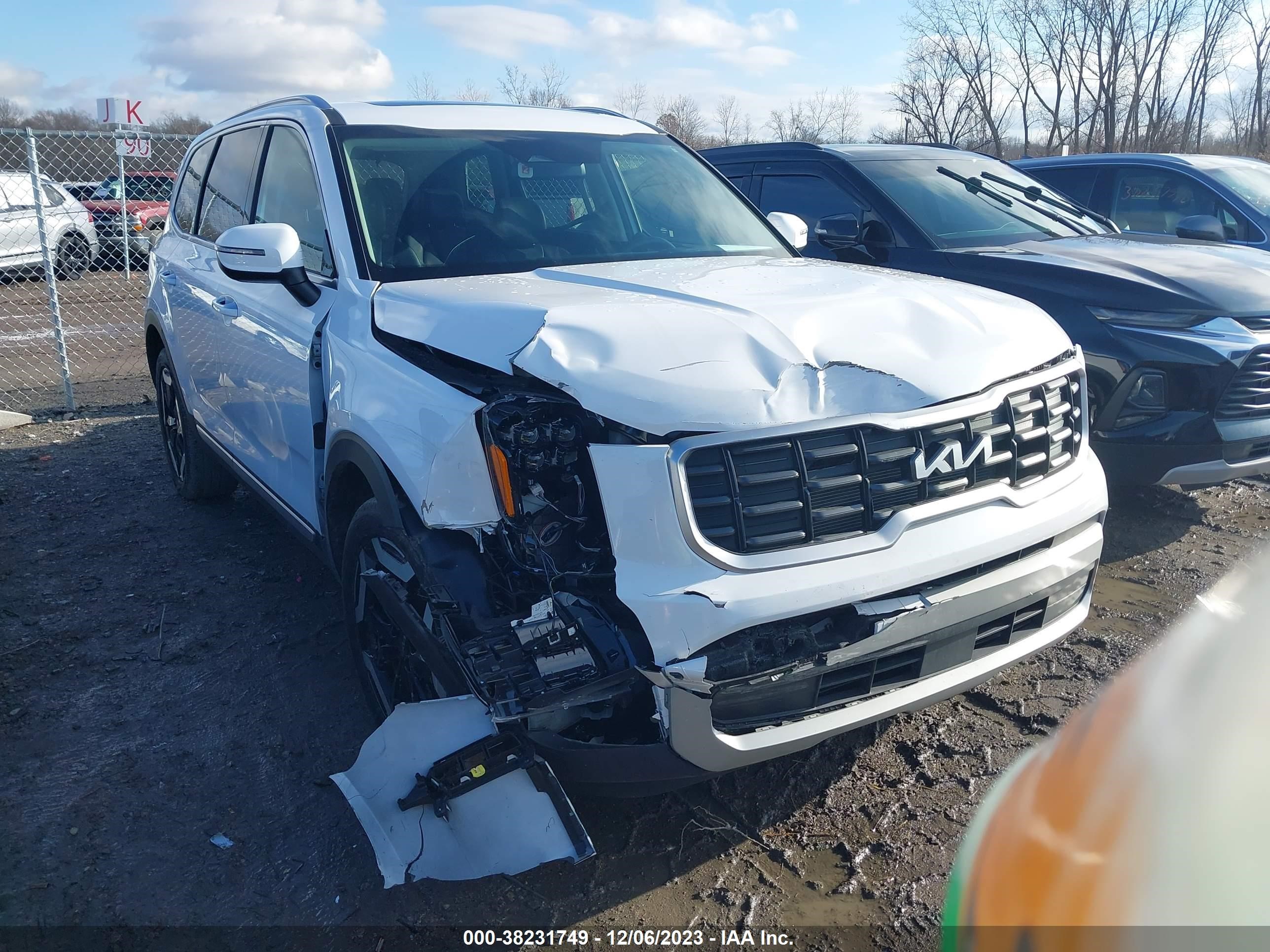 Photo 0 VIN: 5XYP6DGCXRG412714 - KIA TELLURIDE 