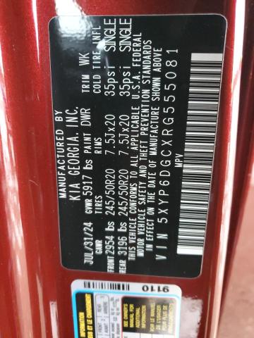 Photo 12 VIN: 5XYP6DGCXRG555081 - KIA TELLURIDE 