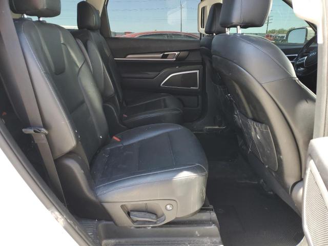 Photo 10 VIN: 5XYP6DHC0LG085584 - KIA TELLURIDE 