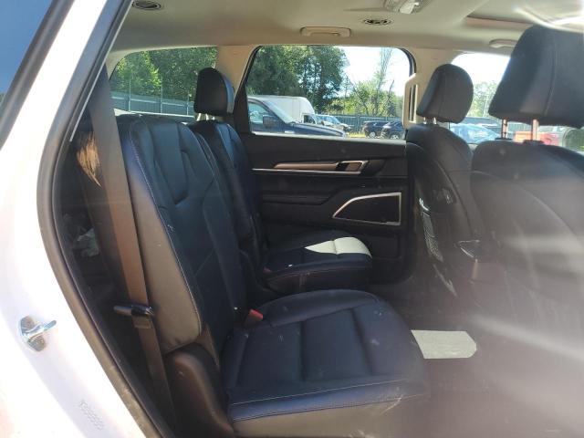 Photo 10 VIN: 5XYP6DHC4NG233447 - KIA TELLURIDE 