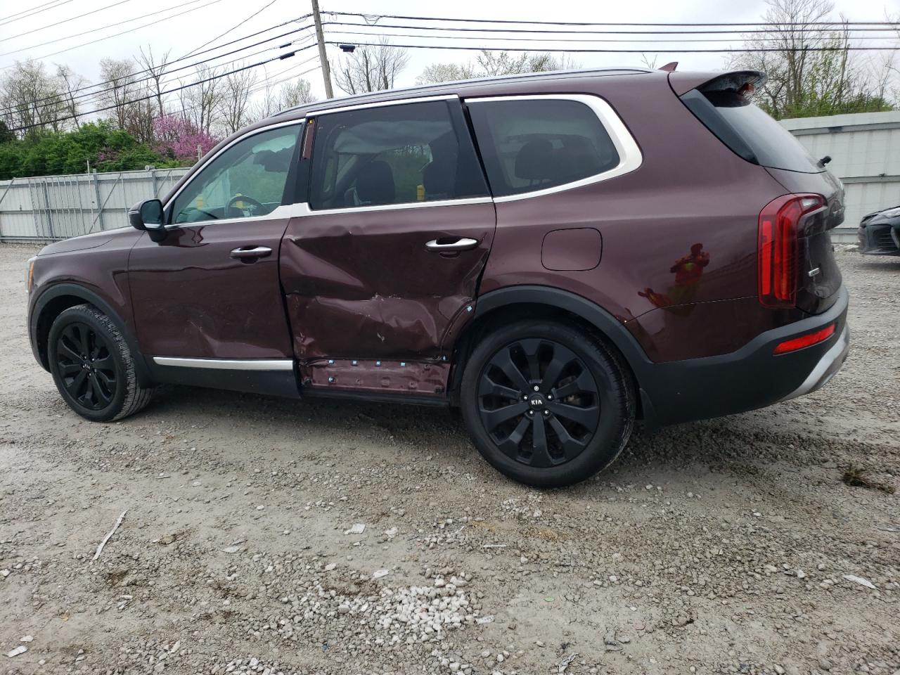 Photo 1 VIN: 5XYP6DHC5MG146798 - KIA TELLURIDE 