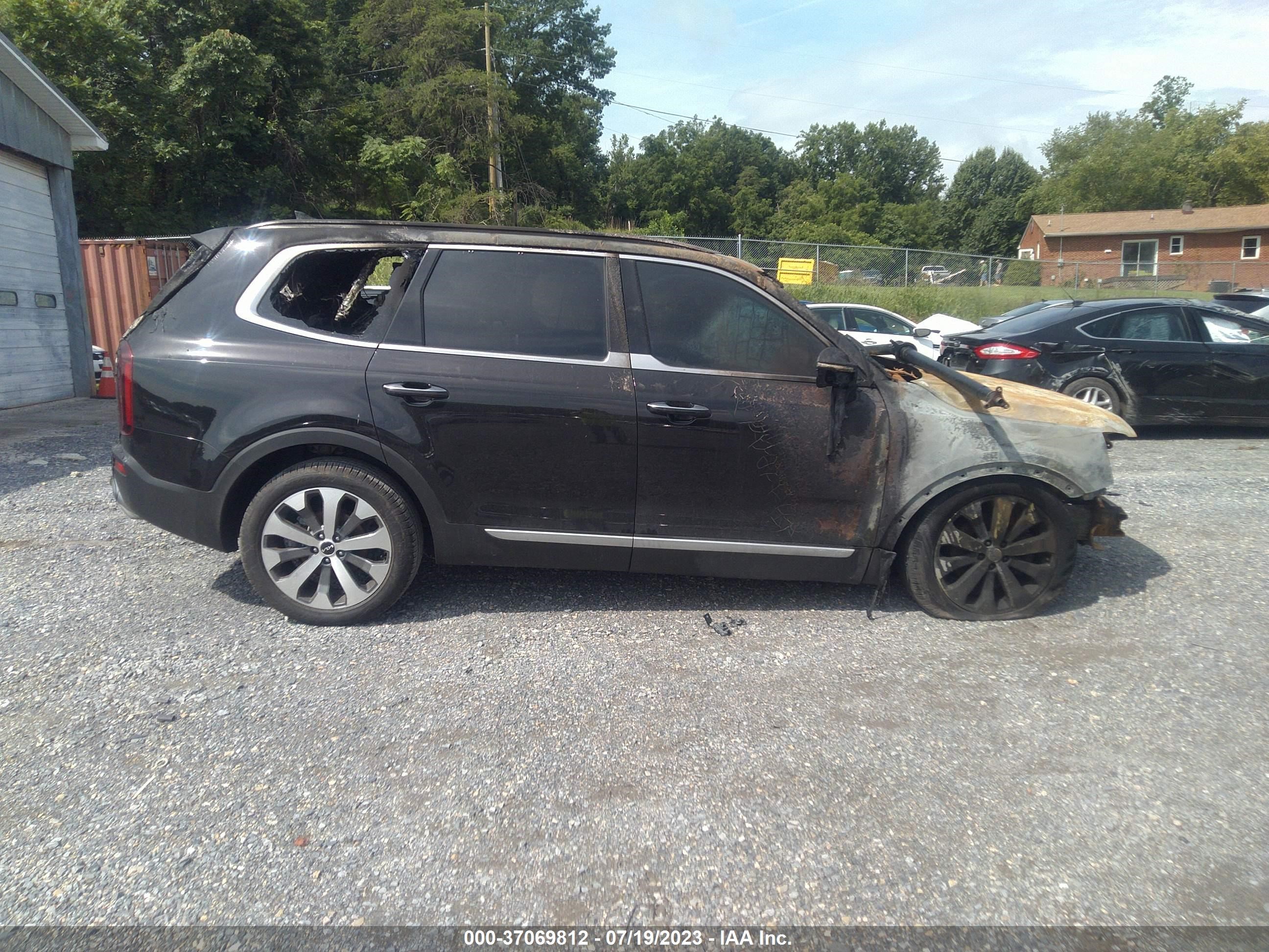 Photo 11 VIN: 5XYP6DHC5NG236003 - KIA TELLURIDE 