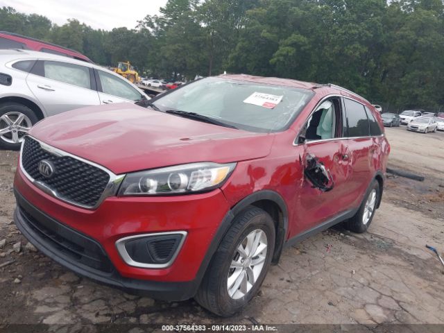 Photo 5 VIN: 5XYPG4A30HG219332 - KIA SORENTO 