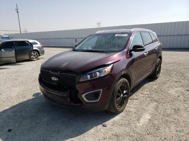 Photo 1 VIN: 5XYPG4A30HG238253 - KIA SORENTO LX 