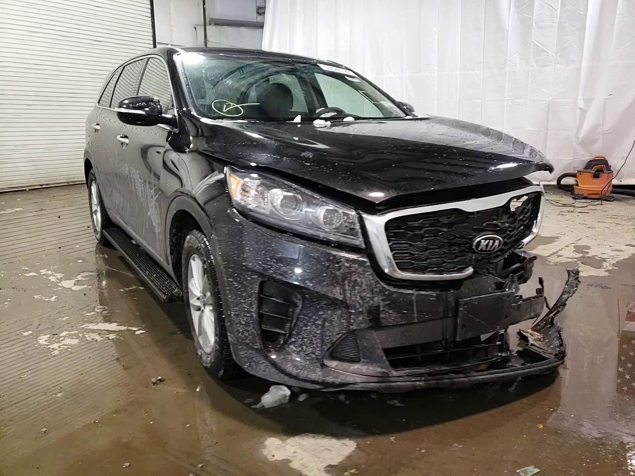 Photo 10 VIN: 5XYPG4A30LG634143 - KIA SORENTO L 