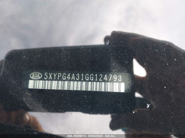 Photo 8 VIN: 5XYPG4A31GG124793 - KIA SORENTO 